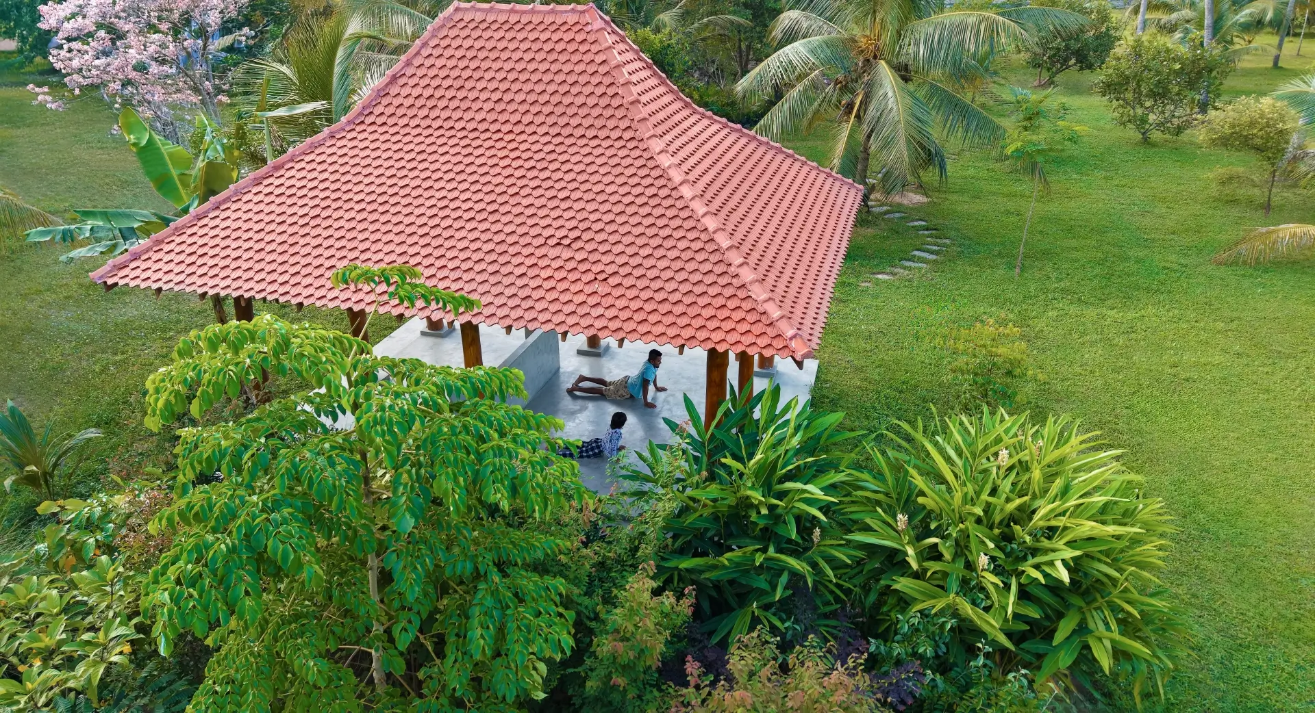 Welpalla Signature 1