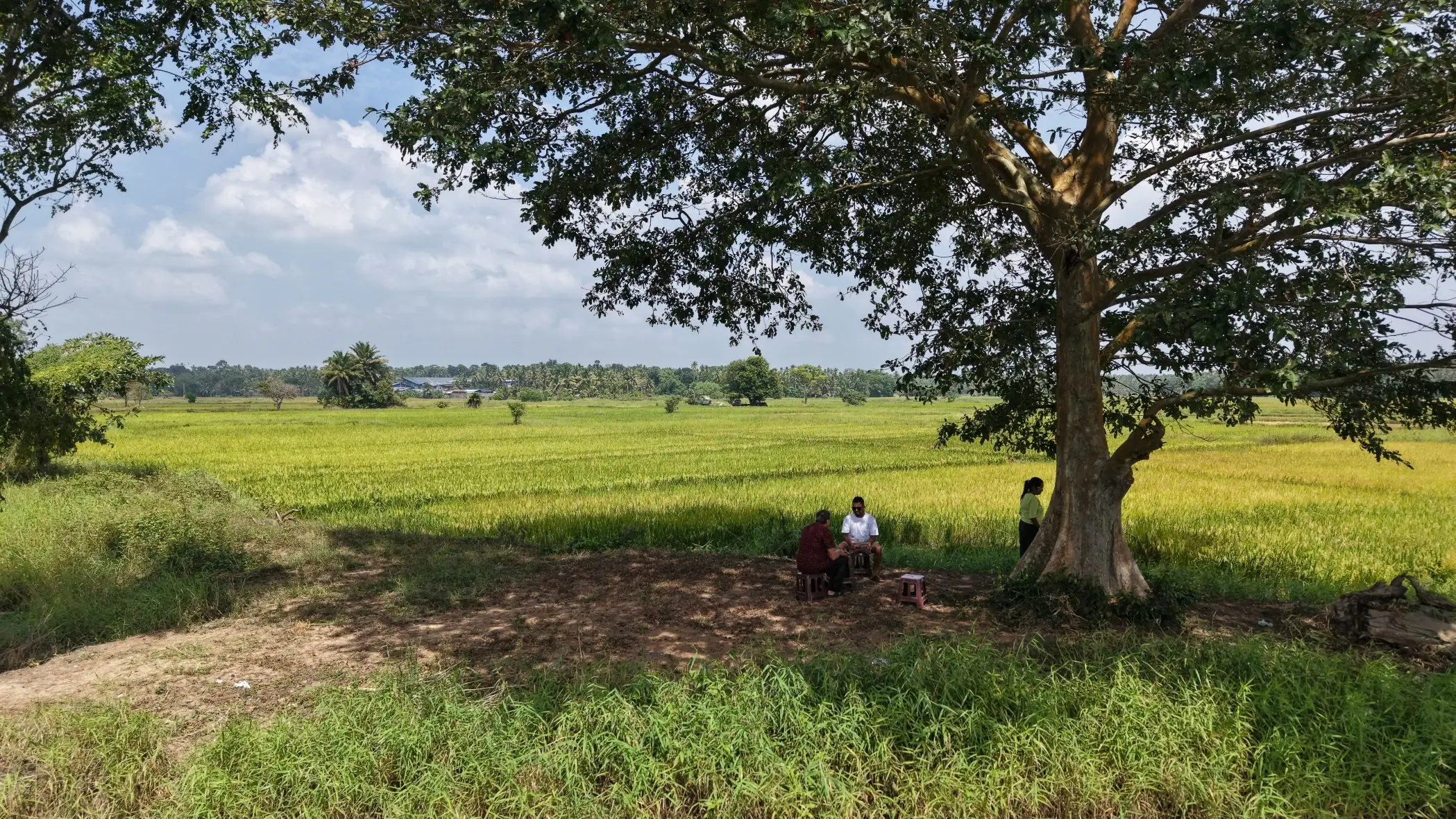 welpalla village tour tea time 2