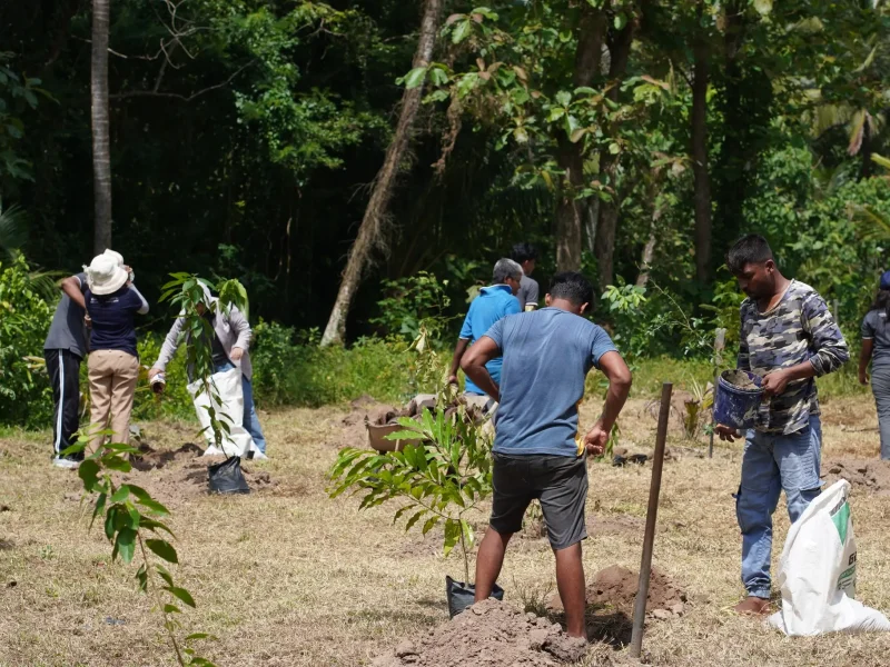 welpalla herbal garden23